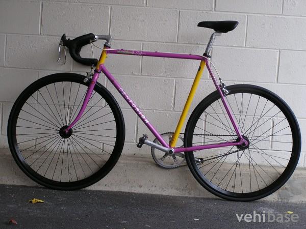 Centurion Dave Scott Ironman SE