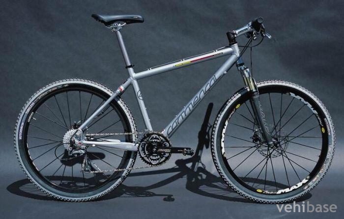 Commencal Flame VIP