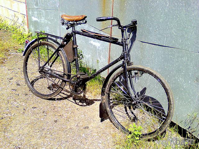 Condor 1905