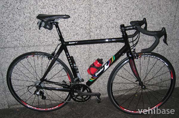 Condor Italia