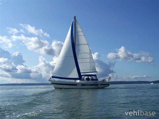 Coronado 41