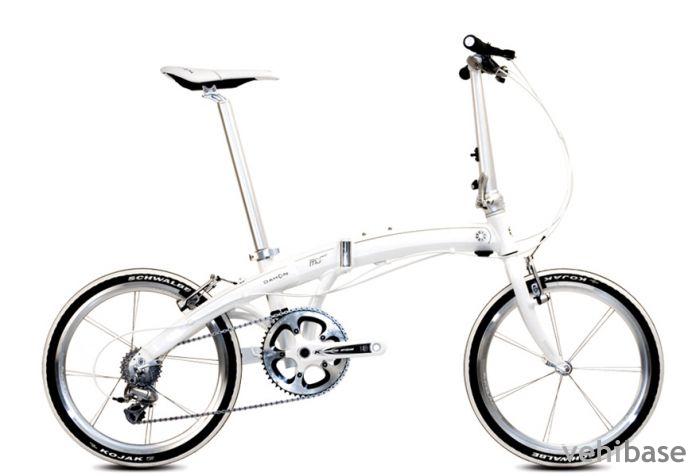 Dahon Mu XXV