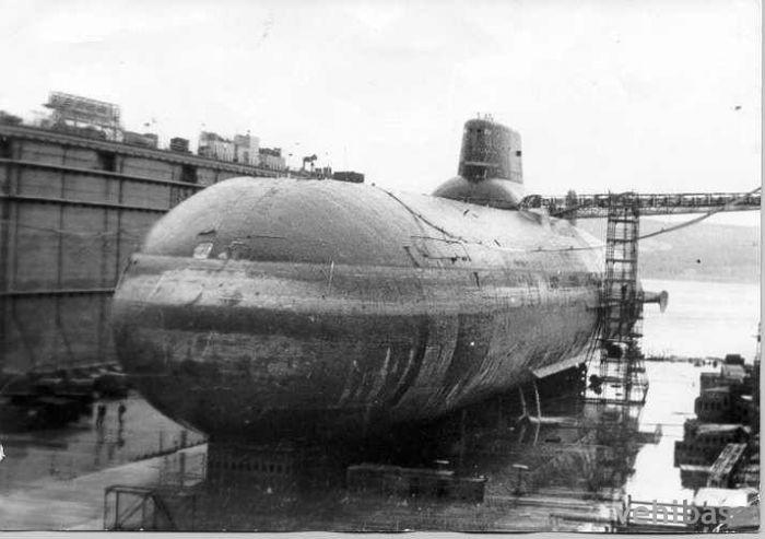 Dmitriy Donskoy (TK-208)