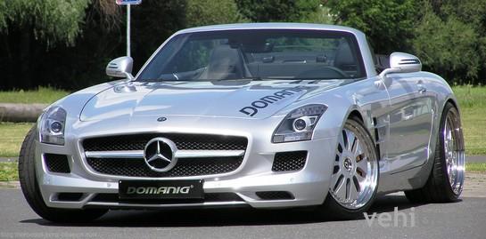 Domanig SLS Roadster