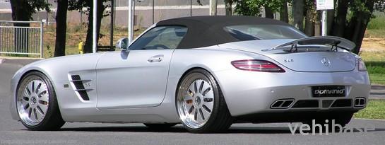 Domanig SLS Roadster