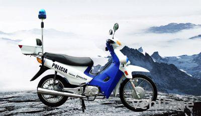 Dongfang Lingyun DF110-13 Police