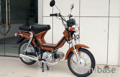 Dongfang Lingyun DF48Q-6