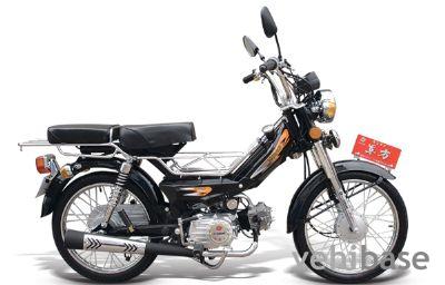 Dongfang Lingyun DF48Q