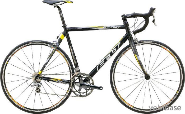 Felt F55