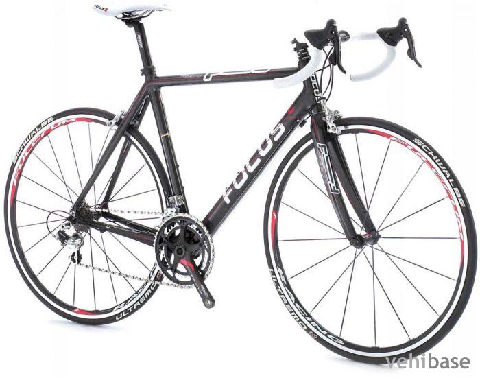 Focus Cayo Expert Campa