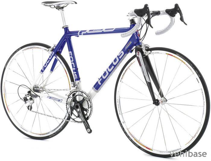 Focus Izalco Expert