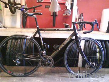 Fondriest Gold Magister