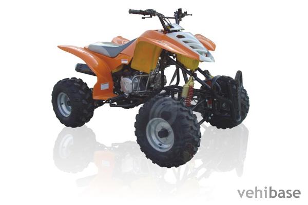 Fosti FT110 ATV