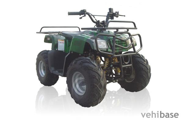 Fosti FT90 ATV