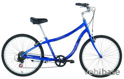 Fuji Saratoga 3.0