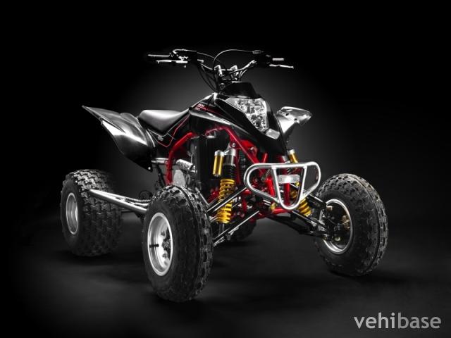 GAS GAS Wild HP 450