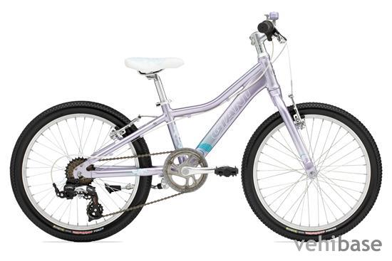 Giant Areva 20