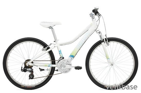 Giant Areva 24