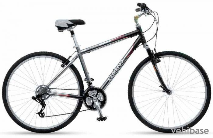 Giant Cypress SE