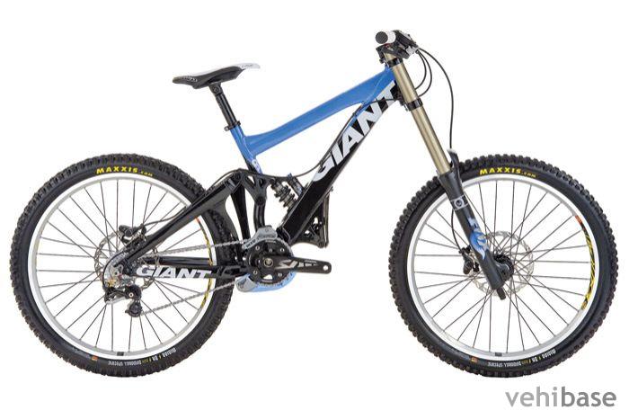 Giant Glory DH0