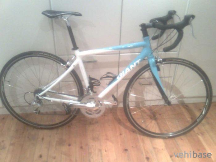Giant OCR 2W
