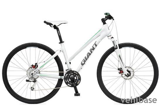 Giant Roam 1 W
