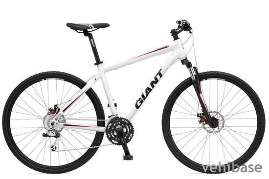 Giant Roam 1