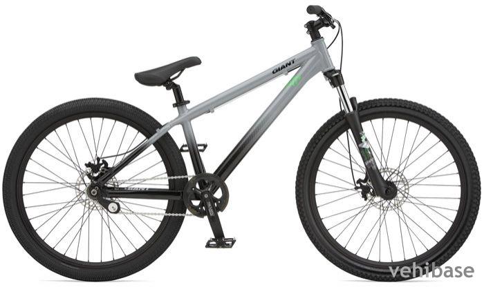Giant STP SS