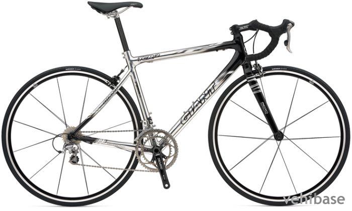 Giant TCR 2
