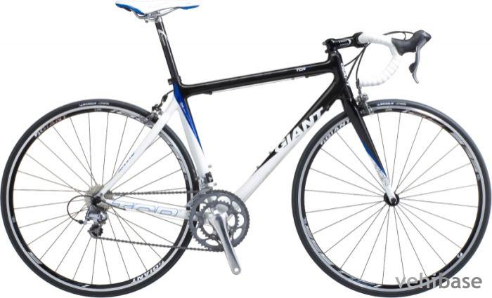 Giant TCR C3