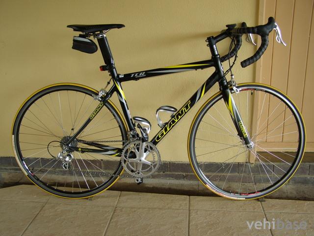 Giant TCR Hybrid