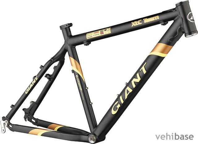 Giant XTC Team EMBO