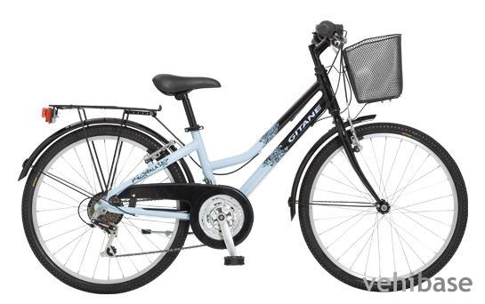 Gitane Pala's 24