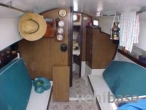 Grampian Classic 31