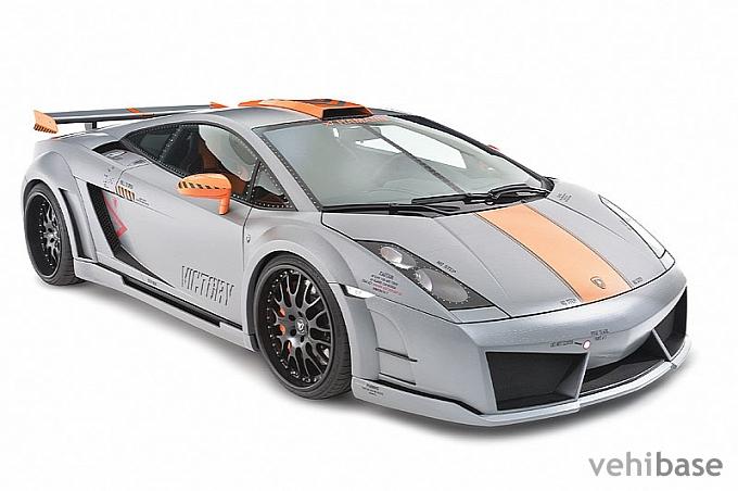 Hamann Gallardo
