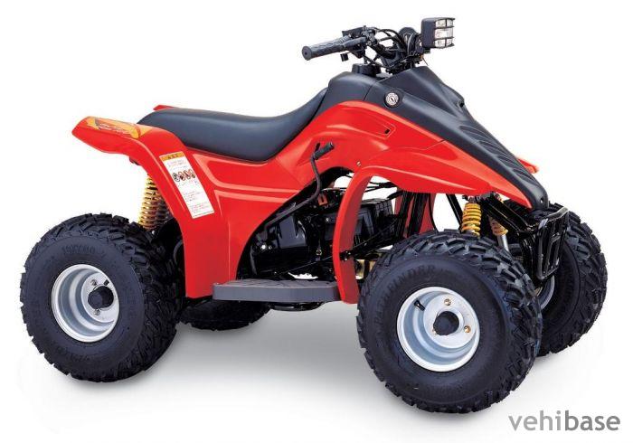 Hyosung TE 100R