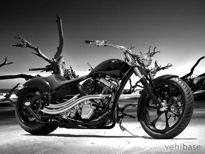 Intrepid Steadfast ProStreet