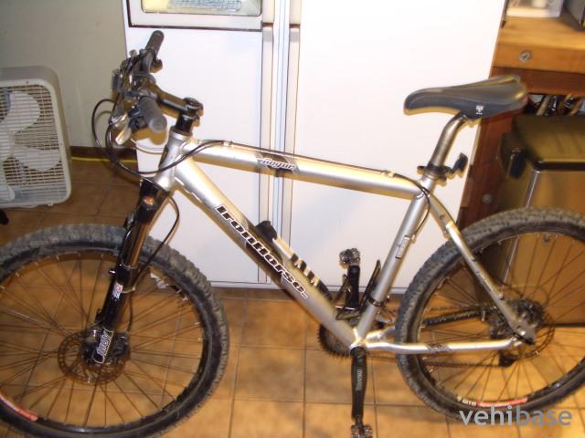 Iron Horse Rogue