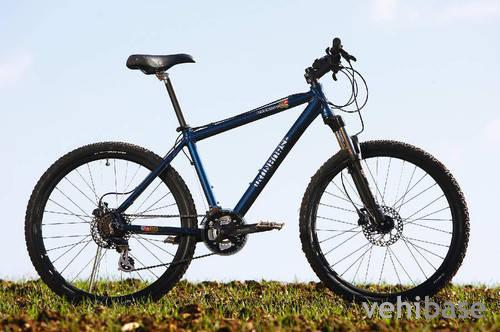 Iron Horse Warrior