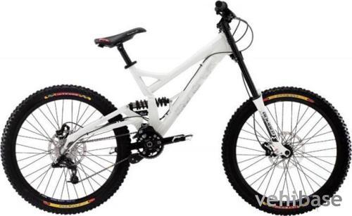 Iron Horse Yakuza Sohon Bucho