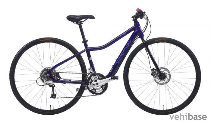 Kona Dr Lisa