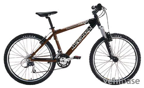 Kona Roast