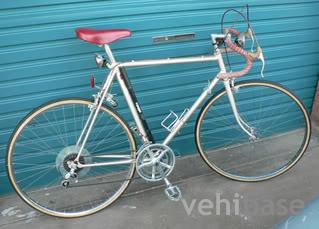 Malvern Star Sprint 12