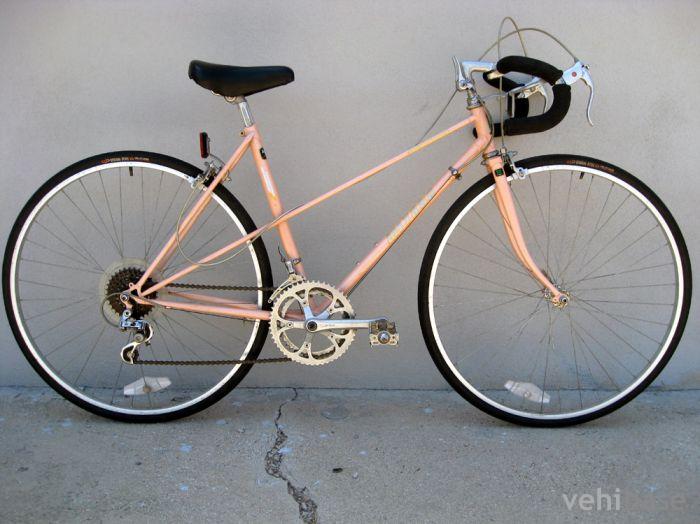 Miyata 100
