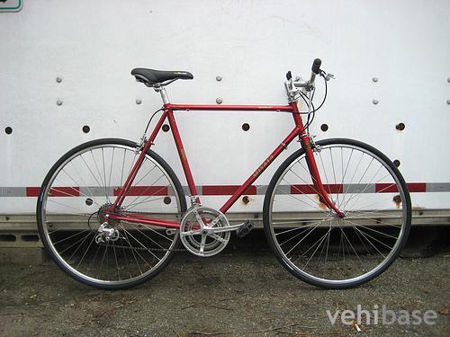 Miyata 210