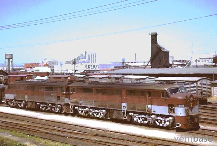 MLW DL-500S