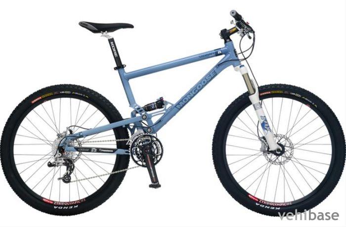 Mongoose Canaan Team