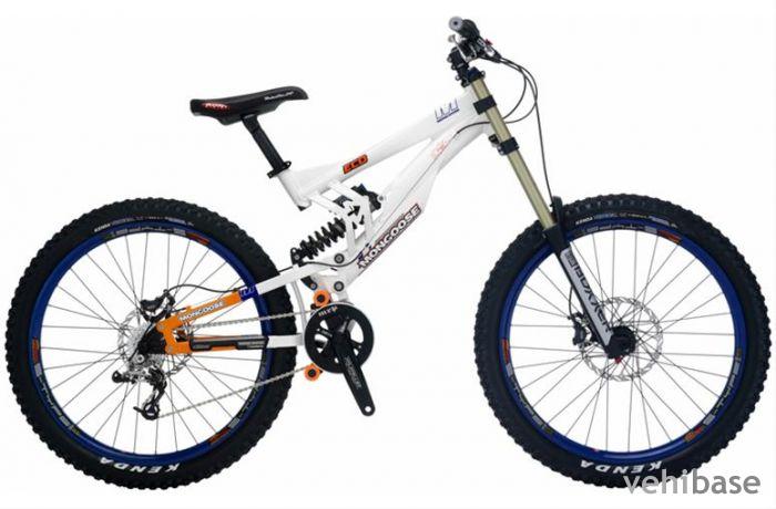 Mongoose ECD