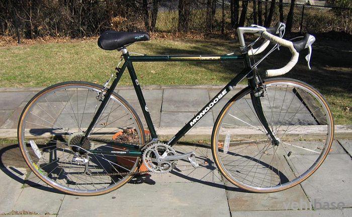 Mongoose Omega