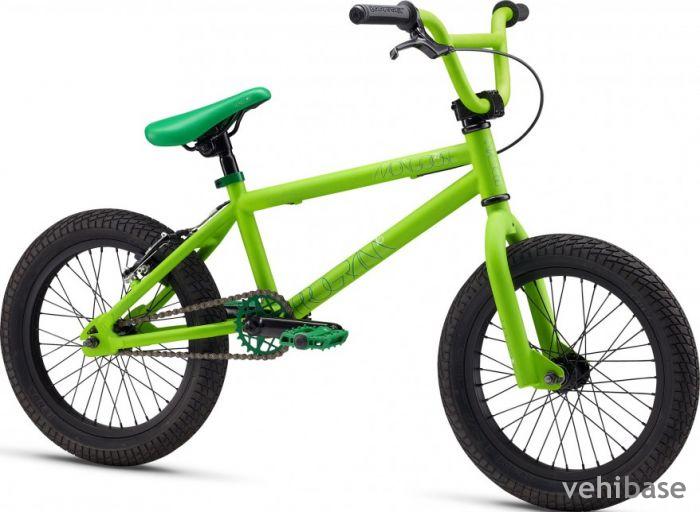 Mongoose Program 16